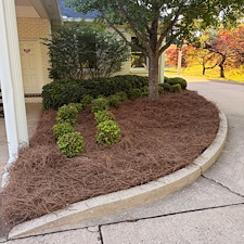 Commercial-Shrub-Trimming-And-Bed-Maintenance-In-Oxford-MS 1